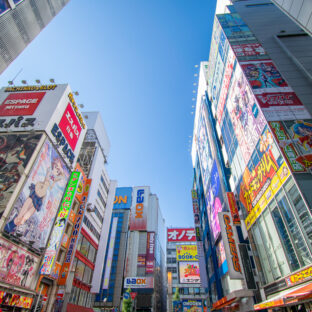 【店舗の特徴を掴め！】店舗の見るべき所と立ち回り方！（ヤマダ電機編）