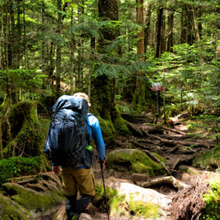 制約と誓約と習慣